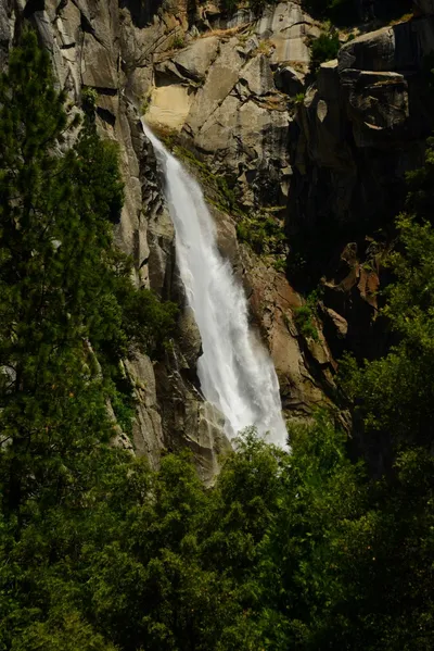 DSC_2268 (Large).JPG